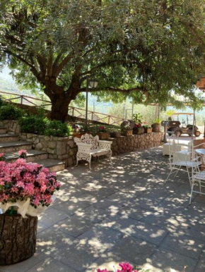 Agriturismo Nonno Luigino Vico Equense